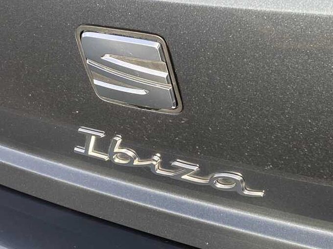 SEAT Ibiza 1.0 TSI 110 FR Sport 5dr